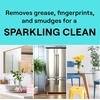 image:imageSeventh Generation Glass Cleaner Sparkling Seaside 23 oz 4PackSparkling Seaside