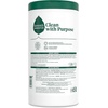 image:imageSeventh Generation MultiSurface Wipes Garden Mint scent 35 Wipes70 Count Pack of 6